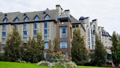 What hotel brands have the best loyalty programs available