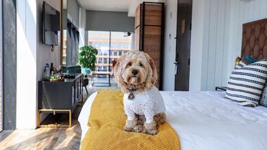 What are the most pet-friendly hotels you can book